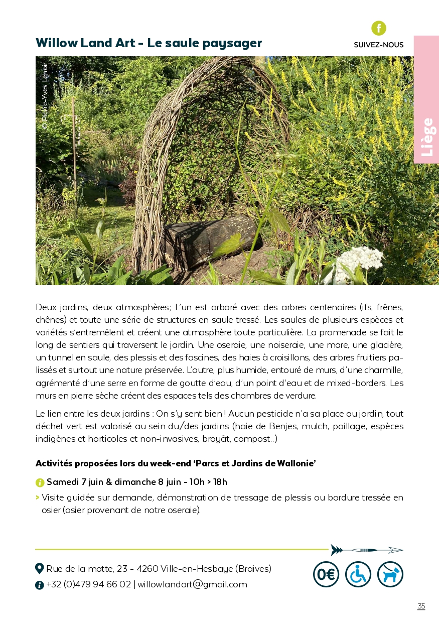 Willow Land Art - Le saule paysager et Pulsions végétales